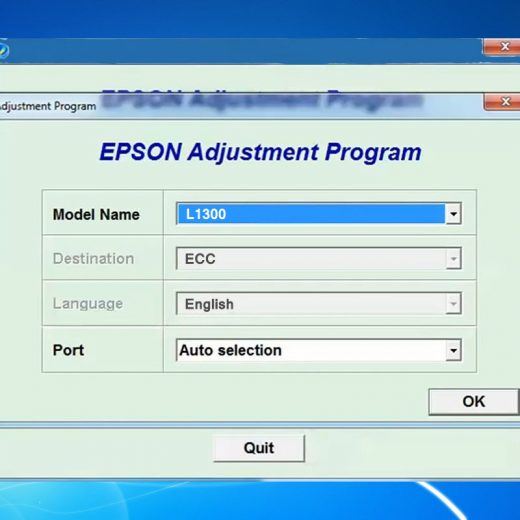 cannot reset epson adjustment program